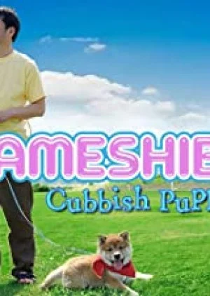 Youjumameshiba Nozomi Hen