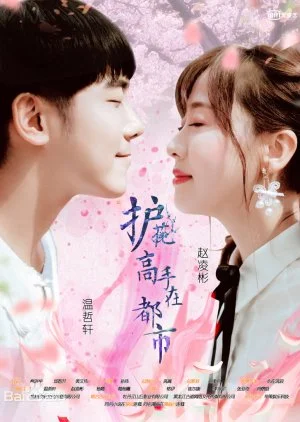 Hu Hua Gao Shou Zai Du Shi