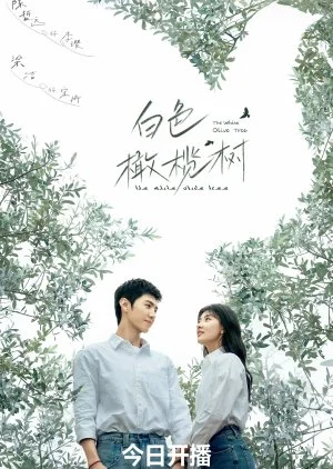 The White Olive Tree