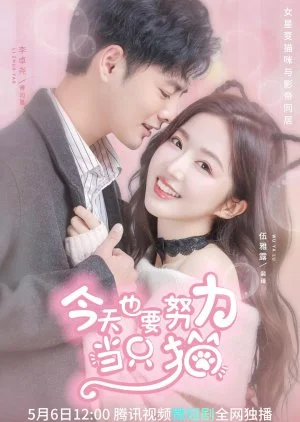 My Cat-astrophic Lover