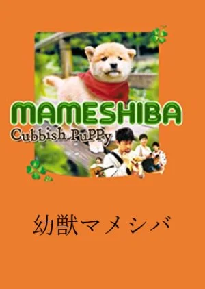 Mameshiba Cubbish Puppy (2009)