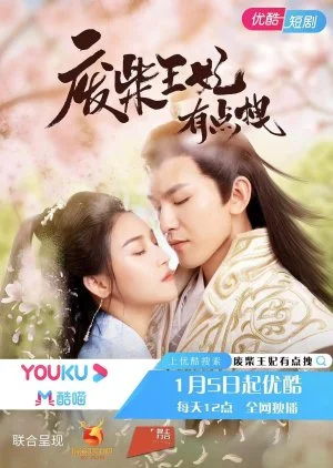 Fei Chai Wang Fei You Dian Zhuai