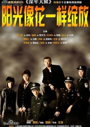 Sun Shining Like Blossom