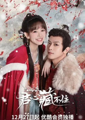 Governor's Secret Love