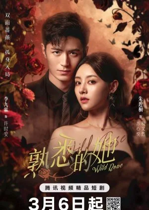 Wild Rose (2025)