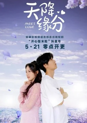 Meet Love (2024)