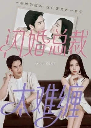 Shan Hun Zong Cai Tai Nan Chan