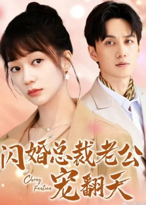 Shan Hun Zong Cai Lao Gong Chong Fan Tian