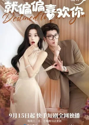 Destined to Love You (2024)
