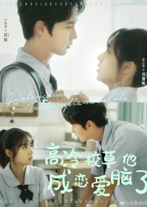 Gao Leng Xiao Cao Ta Cheng Lian Ai Nao Le