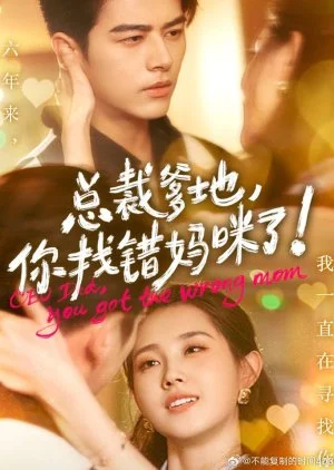 CEO Dad, You Got the Wrong Mom