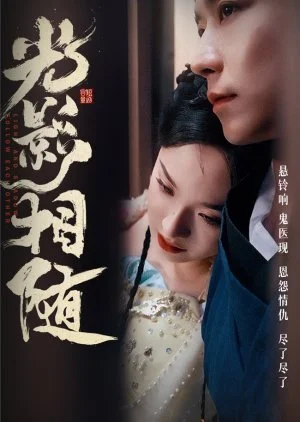 Light and Shadow Follow Each Other