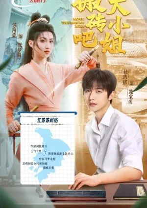 Move the Bricks Miss