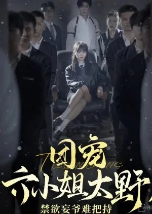 Tuan Chong Liu Xiao Jie Tai Ye, Jin Yu Wang Ye Nan Ba Chi