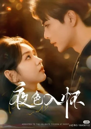 Addicted to the Celibate Tycoon at Night