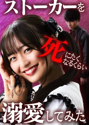 Stalker wo Shinitaku Naru Kurai Dekiai Shite Mita