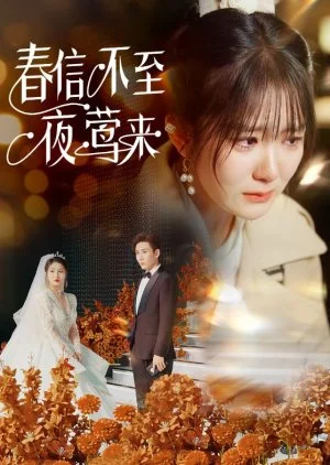 Chun Xin Bu Zhi Ye Ying Lai