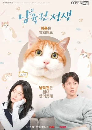 tvN O'PENing: The Catstody War