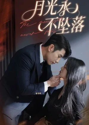 The Moonlight Never Falls