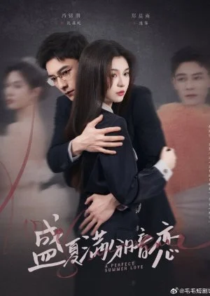 A Perfect Summer Love