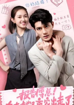 Mr. Fu, Your Wife Ran Away from Home Again (2024)