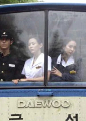 When a Man Loves a Woman (2004)