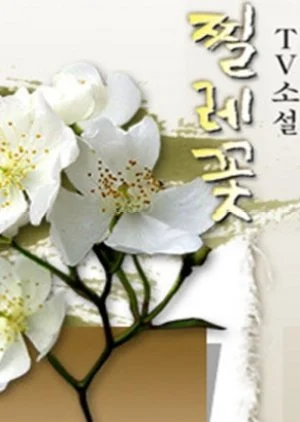 TV Novel: Briar Flower