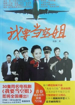 I Want to Become a Stewardess