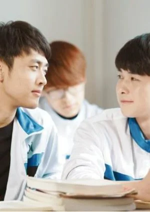 Cherries in Early Summer