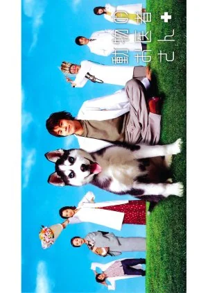 Dobutsu no Oisha-san