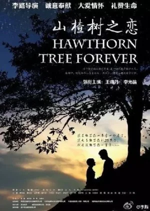 Hawthorn Tree Forever