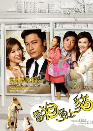 When a Dog Loves a Cat